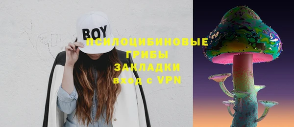 соль ск Бронницы