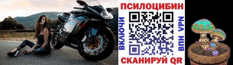 кракен   Кашира  Псилоцибиновые грибы Psilocybine cubensis 